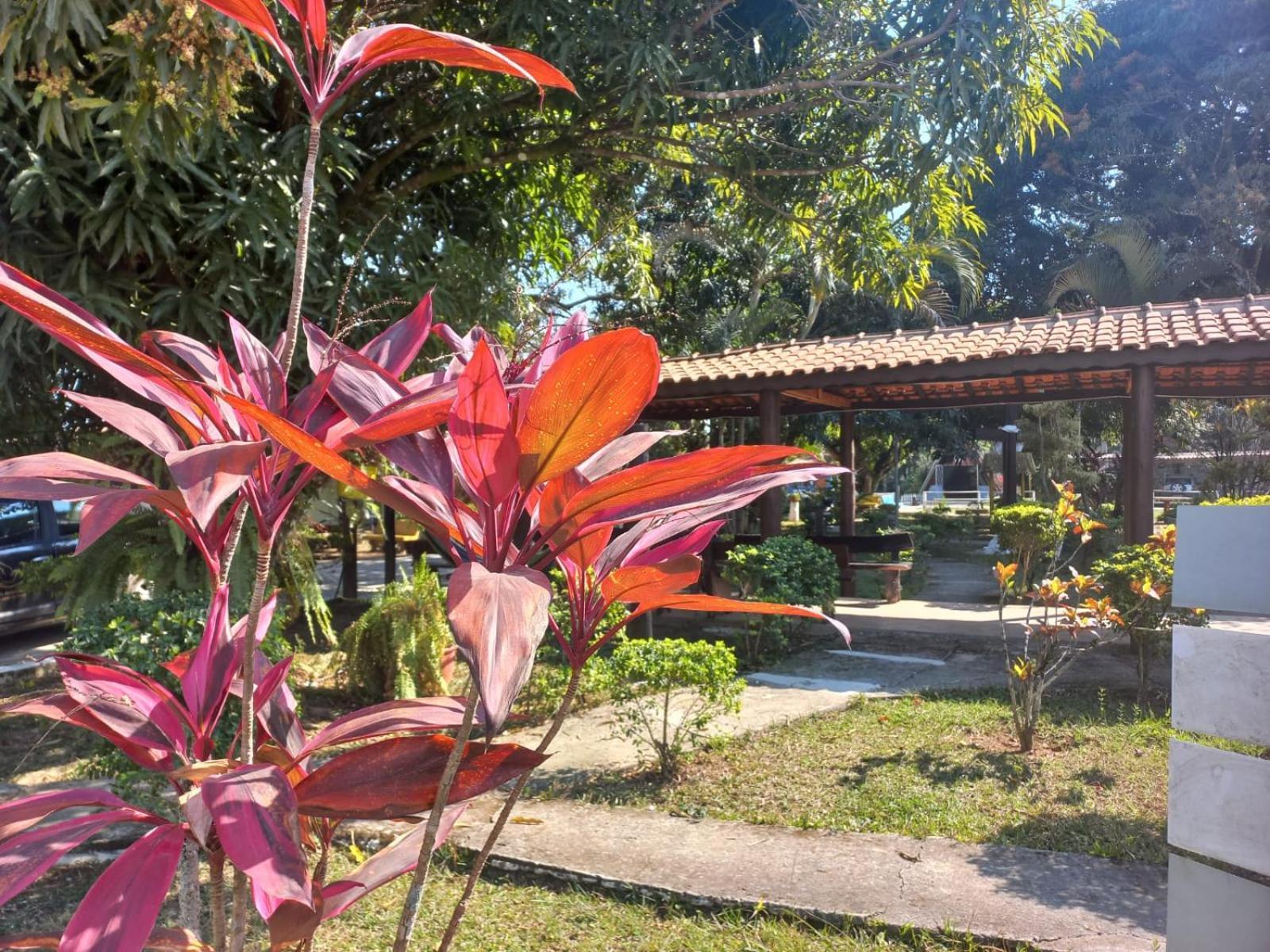 Comunidade Anuncia-Me Guaratinguetá Exterior photo